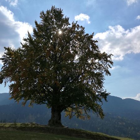 Kam In Ξενοδοχείο Krivopol'ye Εξωτερικό φωτογραφία
